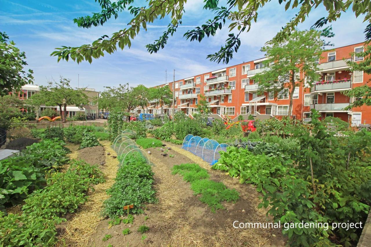 New Monumental Garden View Studio Ámsterdam Habitación foto